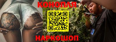 spice Владивосток